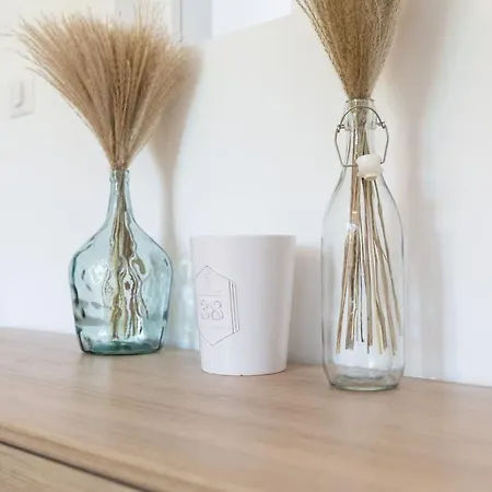 Appartamento Mla Homes - Cocon Foller Nancy